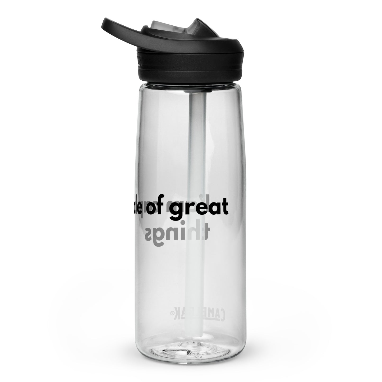 Sports water bottle