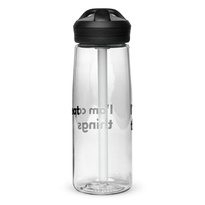 Sports water bottle